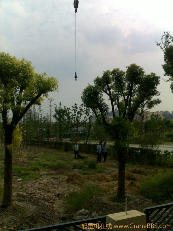 20110906492.jpg
