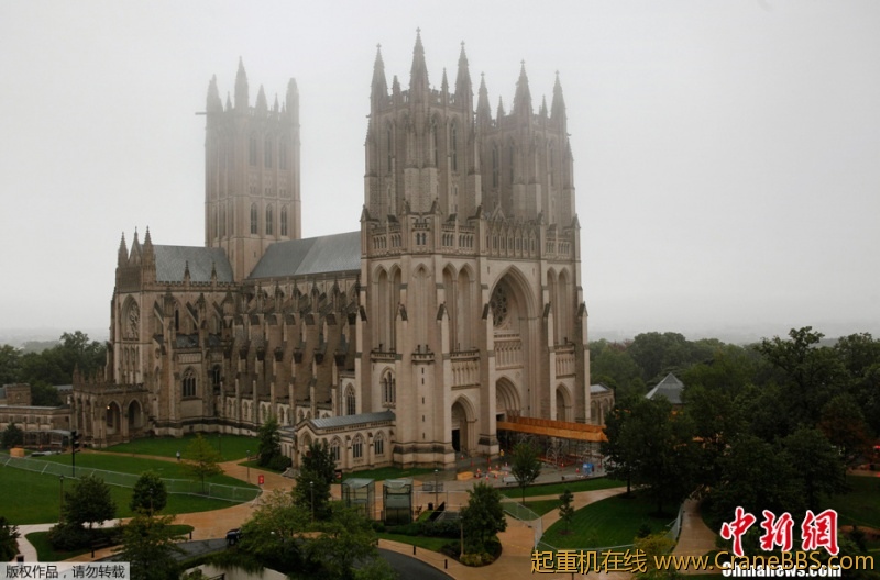Img318778427.jpg
