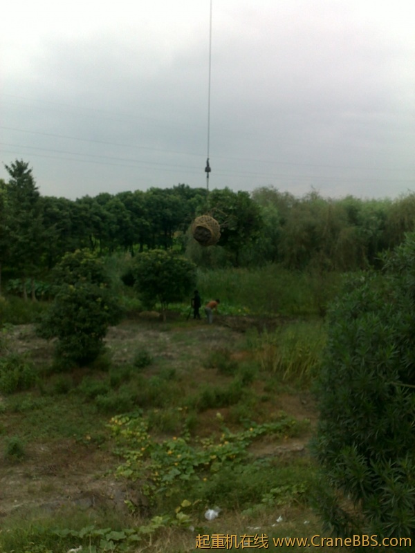 20110909511.jpg