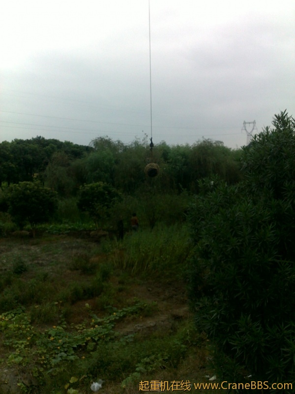 20110909506.jpg
