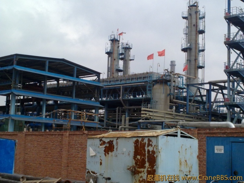 工作之于，拾了一些黄河奇石