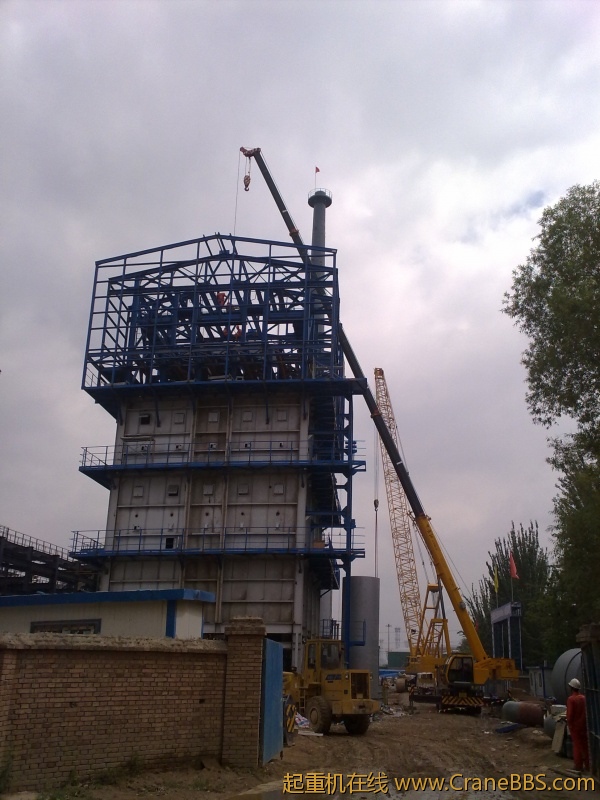 工作之于，拾了一些黄河奇石