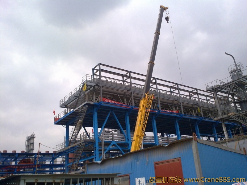 工作之于，拾了一些黄河奇石