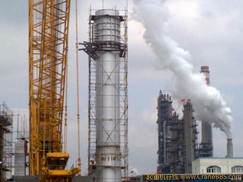 工作之于，拾了一些黄河奇石