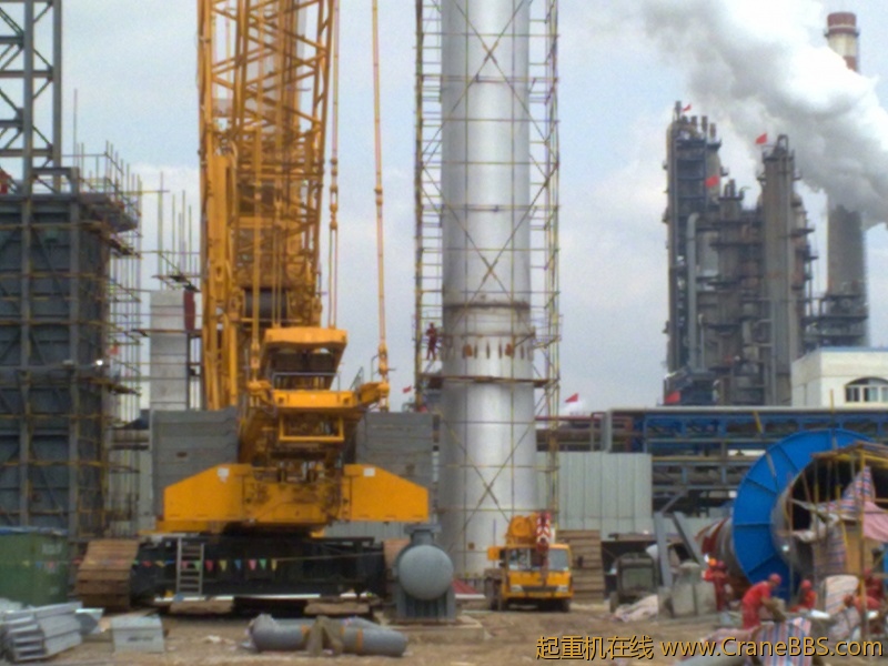 工作之于，拾了一些黄河奇石