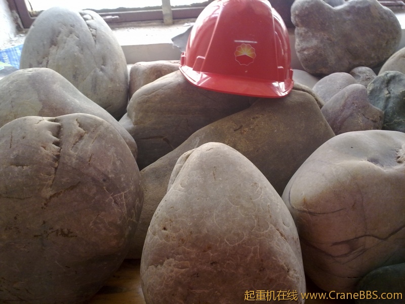 工作之于，拾了一些黄河奇石