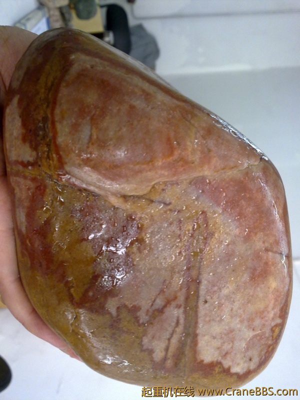 工作之于，拾了一些黄河奇石