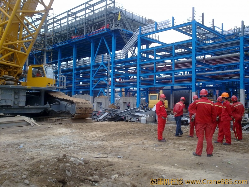 工作之于，拾了一些黄河奇石