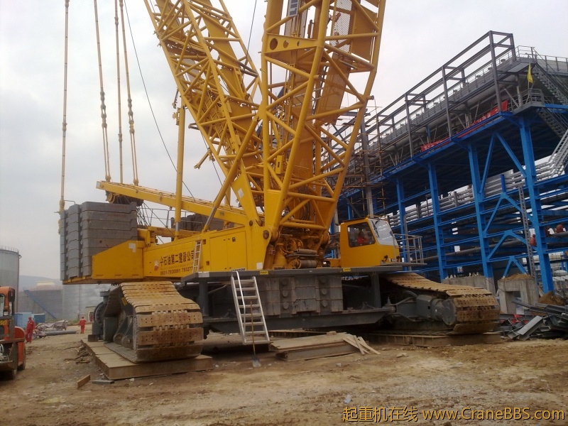 工作之于，拾了一些黄河奇石