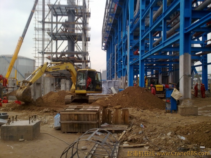 工作之于，拾了一些黄河奇石