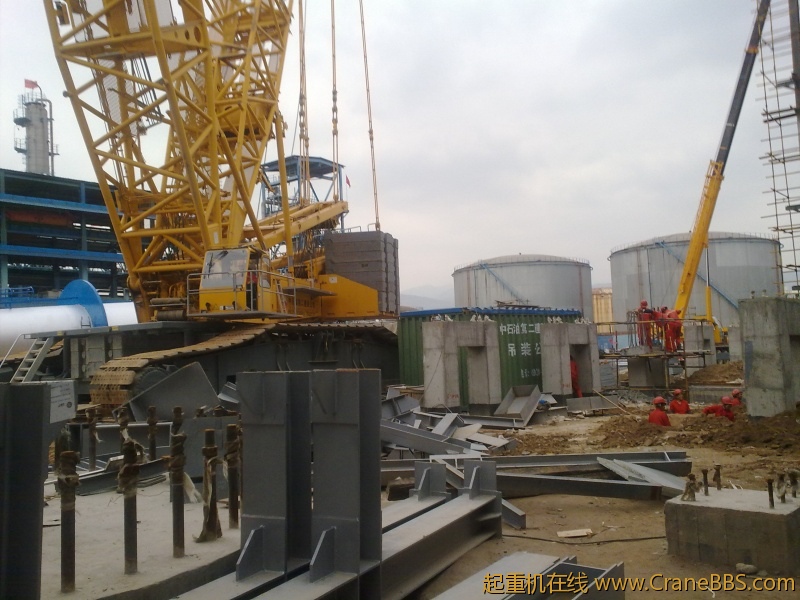 工作之于，拾了一些黄河奇石