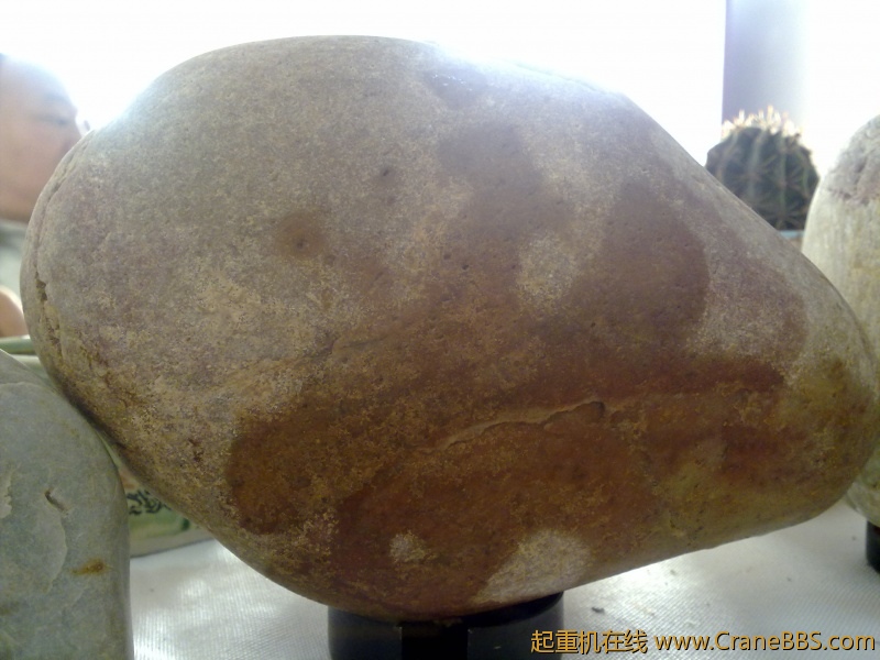 工作之于，拾了一些黄河奇石