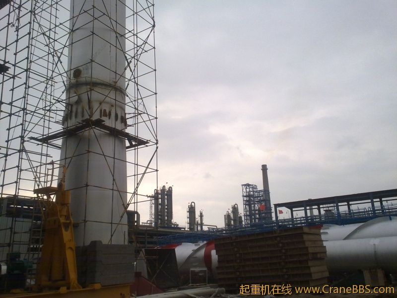 工作之于，拾了一些黄河奇石