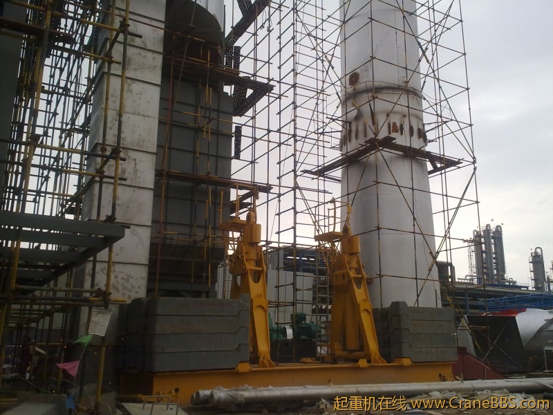 工作之于，拾了一些黄河奇石