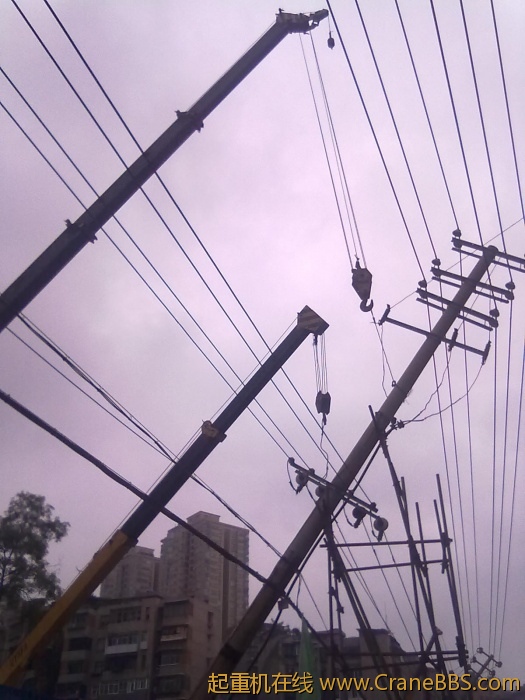 20110708937.jpg