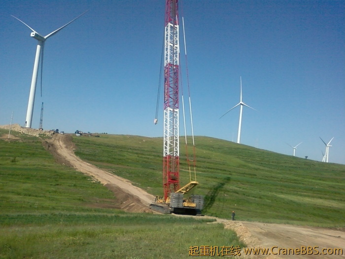 SP_A0495.jpg