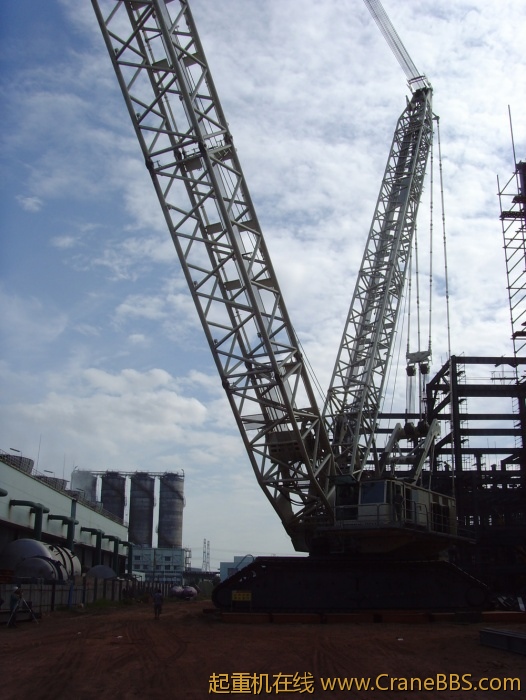 SNV33316.JPG