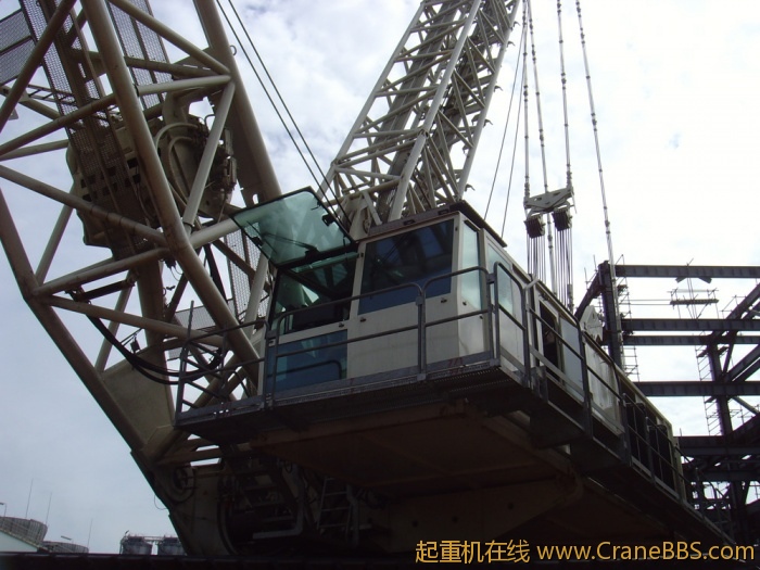 SNV33334.JPG