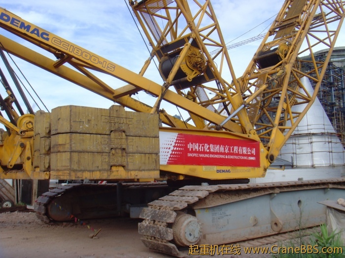 SNV33308.JPG