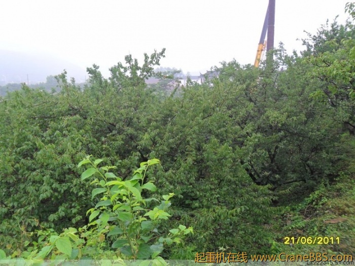 57c6821ee6bf0120dbbc41fa5fa7c397.jpg