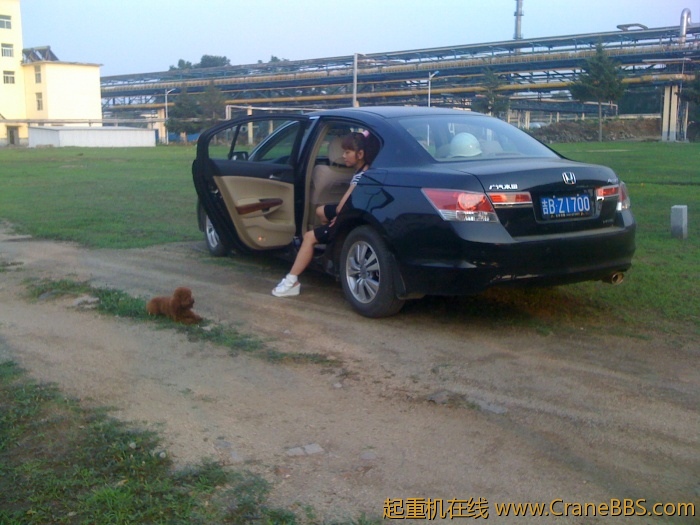 手机照片 3431.jpg