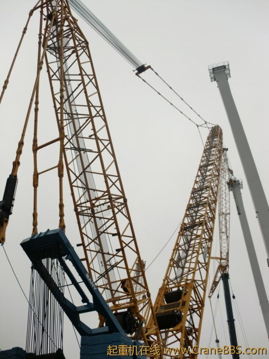 Sarens