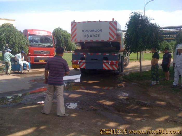 手机照片 3453.jpg