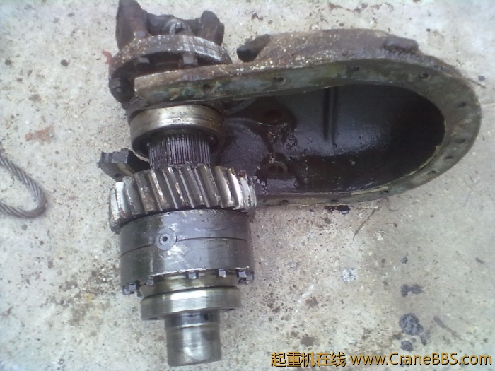 20110710523.jpg