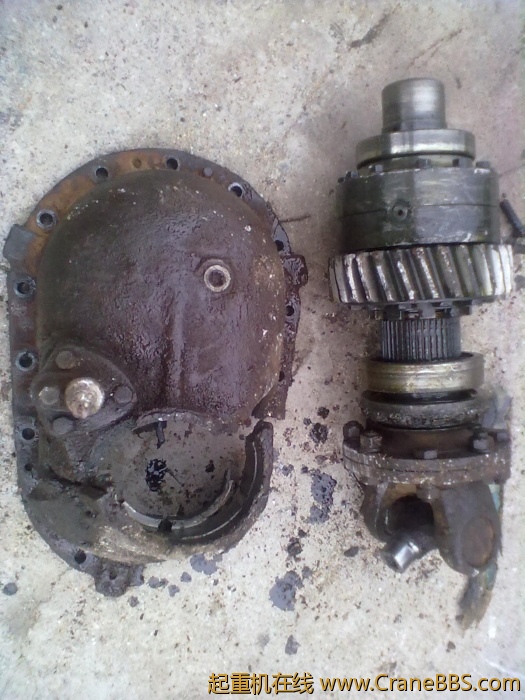 20110710524.jpg