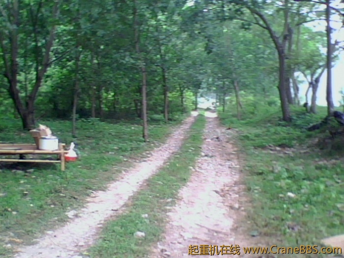 IMG0723A.jpg