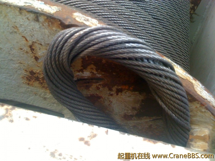 手机照片 3513.jpg