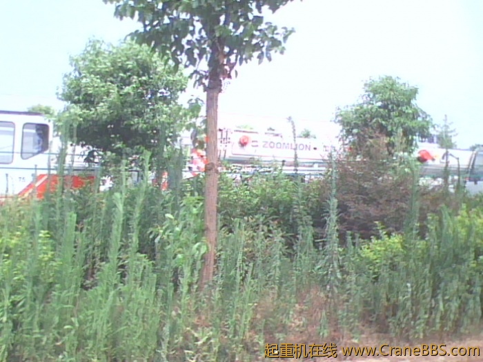 IMG0752A.jpg