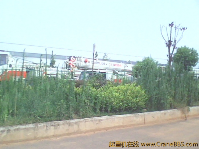 IMG0753A.jpg