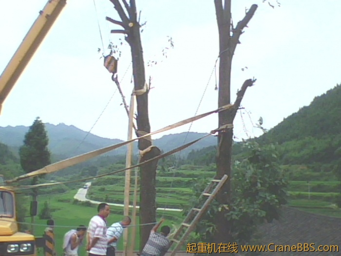 IMG0760A.jpg