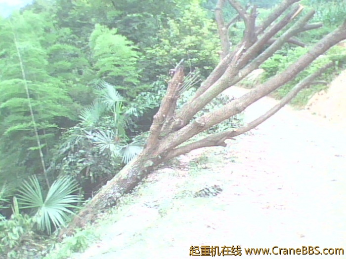 IMG0762A.jpg