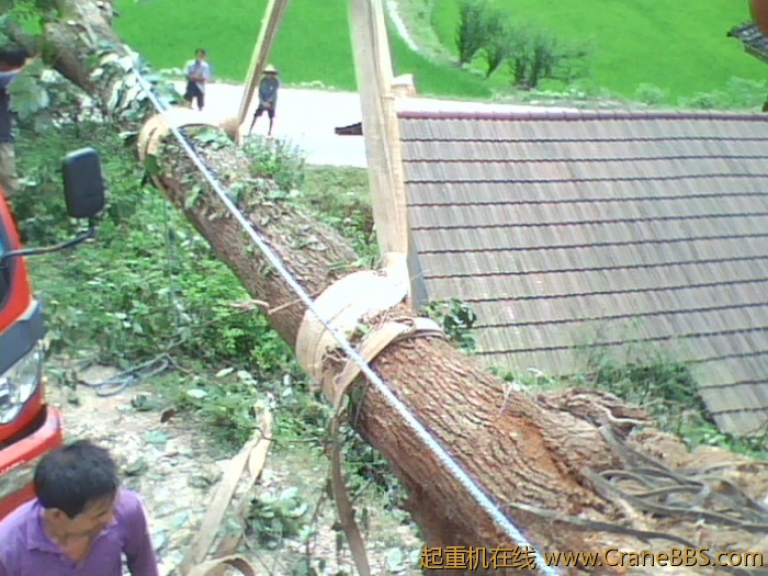 IMG0764A.jpg