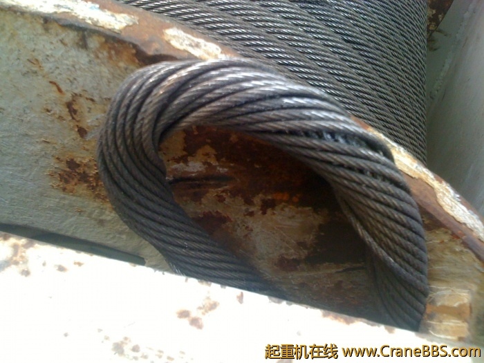 手机照片 3513.jpg.thumb[1].jpg