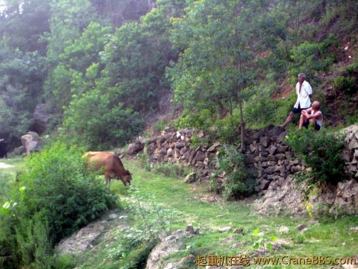 调整大小 IMG_6619.JPG