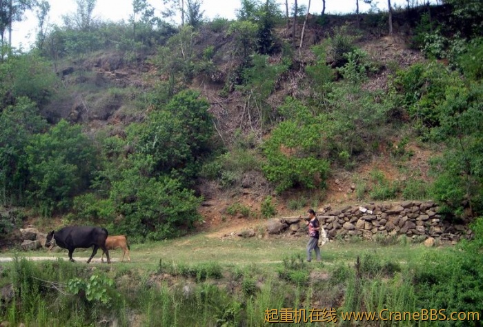 调整大小 IMG_6595.JPG