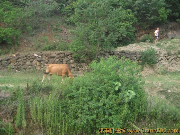 调整大小 IMG_6623.JPG