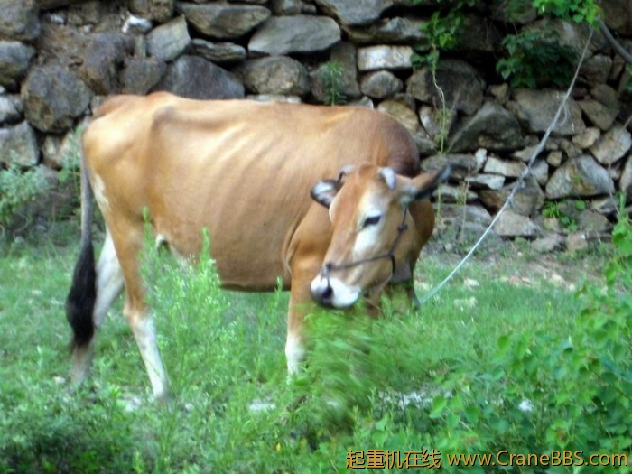 调整大小 IMG_6627.JPG