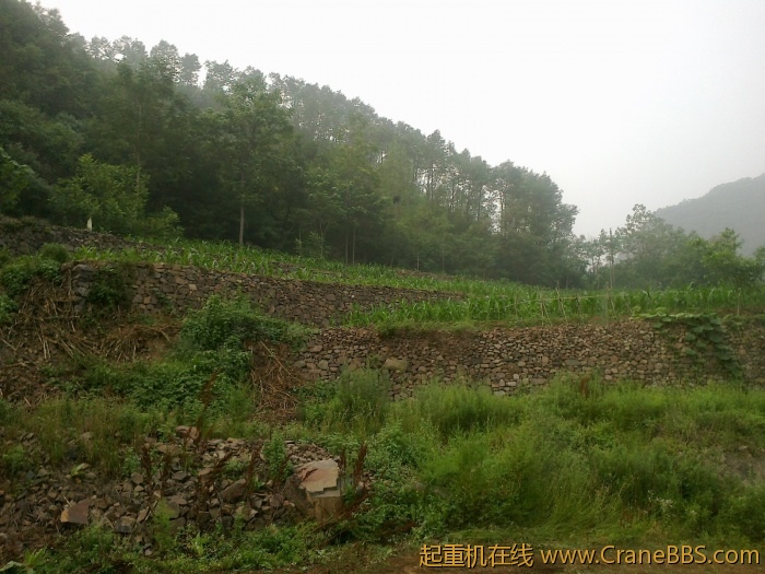 20110720081.jpg