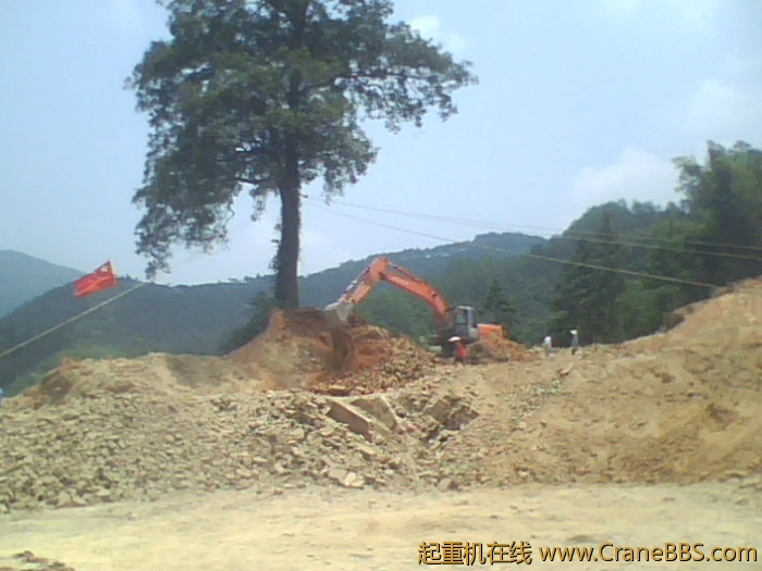 IMG0767A.jpg