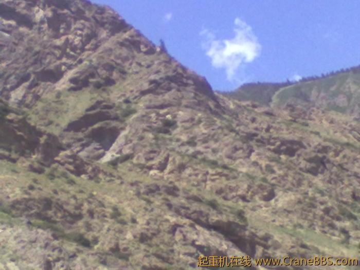 20110625088.jpg
