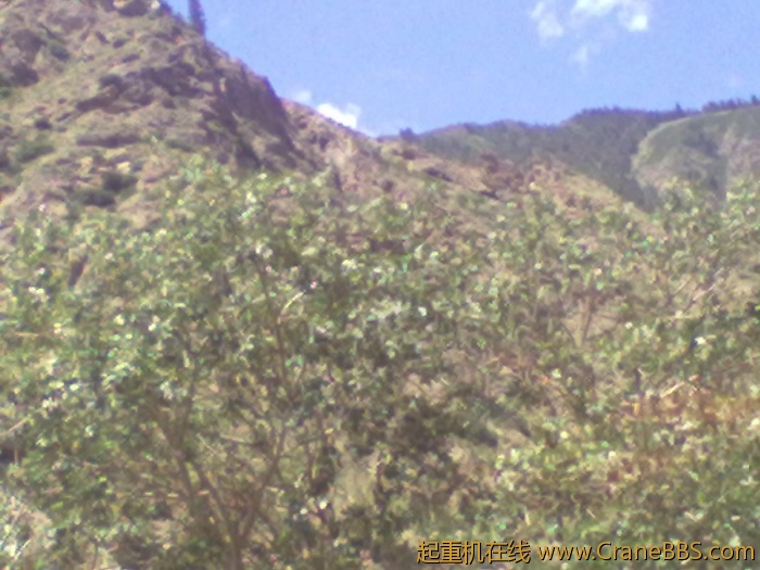 20110625089.jpg