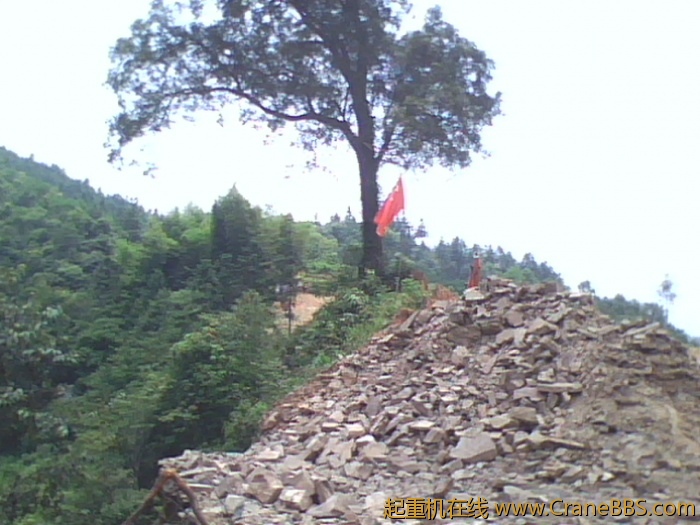 IMG0773A.jpg