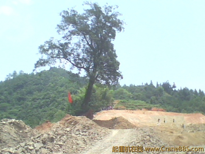 IMG0778A.jpg