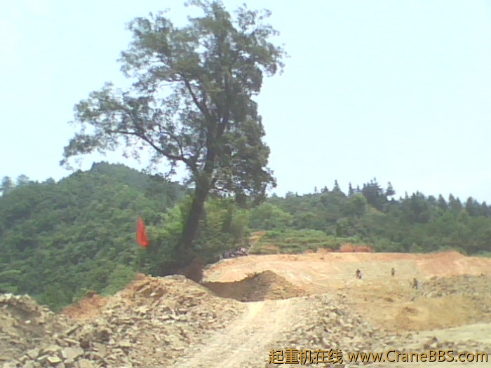 IMG0779A.jpg