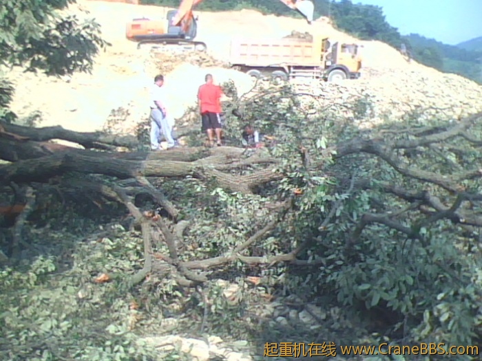 IMG0781A.jpg
