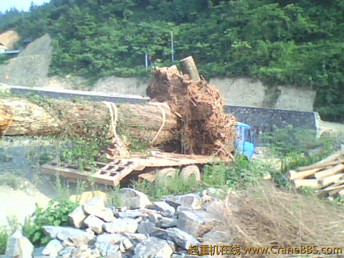 IMG0782A.jpg